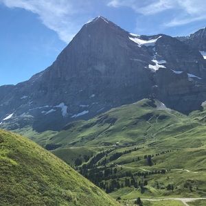 Meet your Posher, Mona